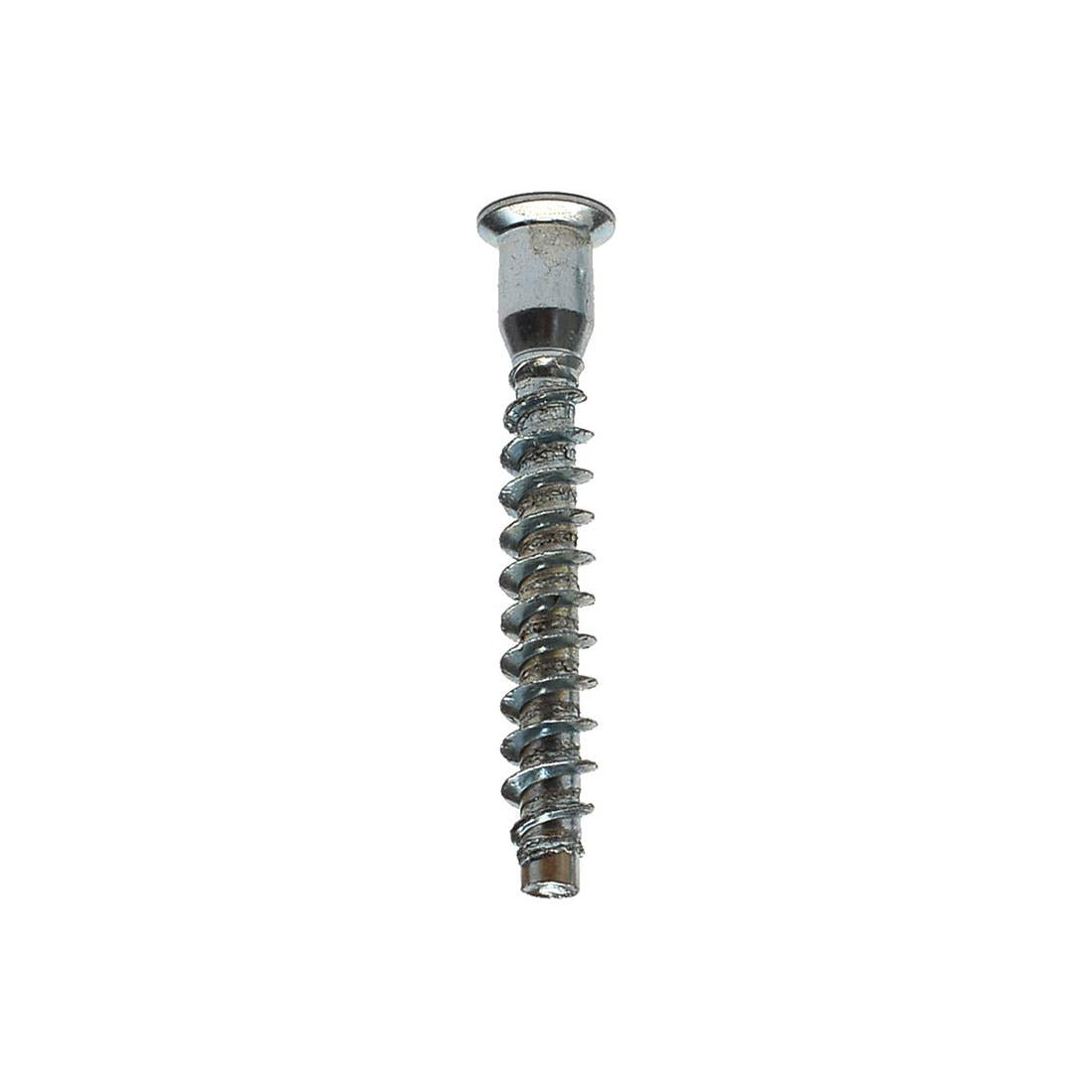 Assembly screw