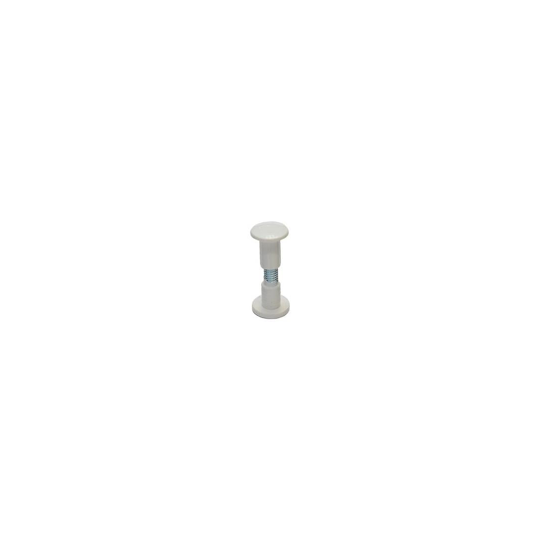 Tornillo ensamble