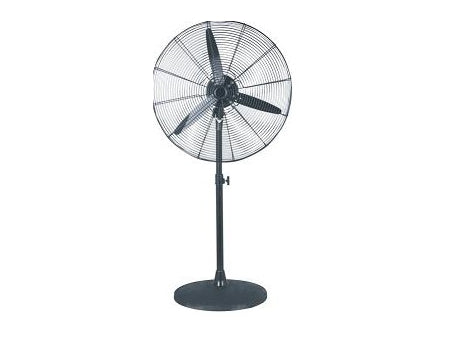 Pedestal fan