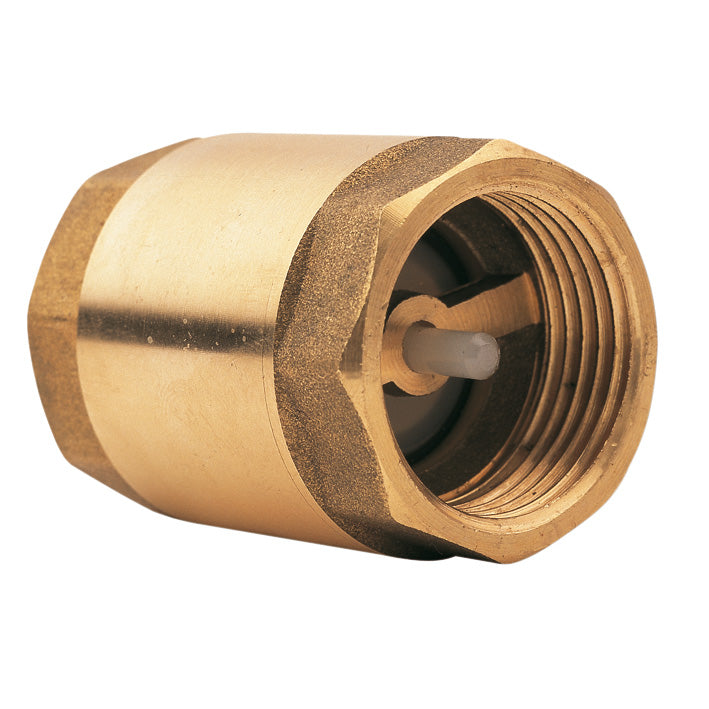 Check valve