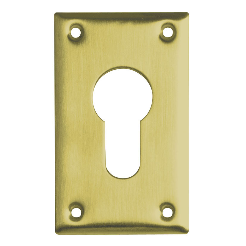Euro profile cylinder pull