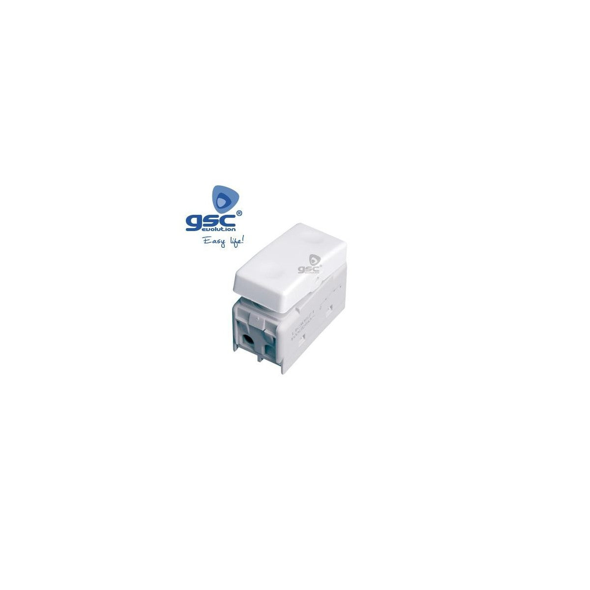 Module switch
