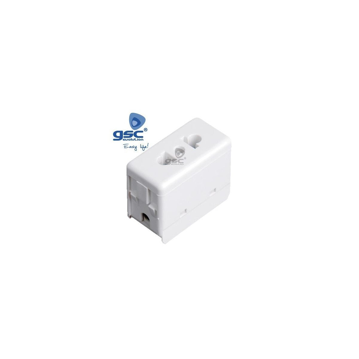 Euro-American plug