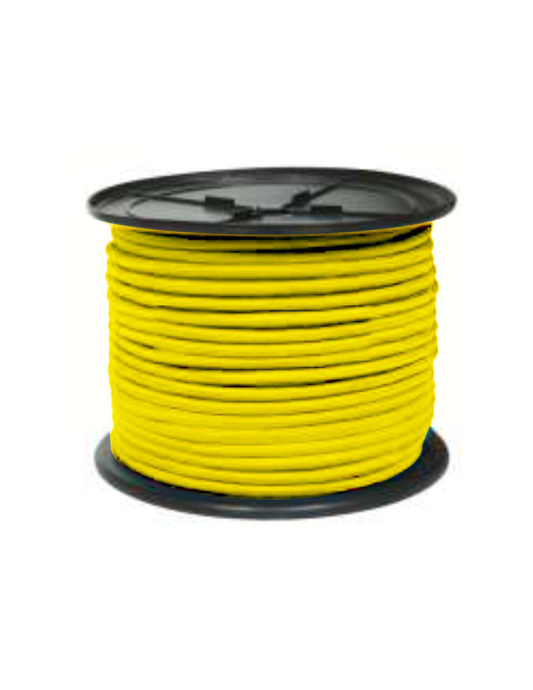 Goma elastica