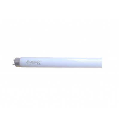 Fluorescent tube
