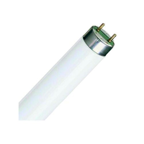 Fluorescent Tube