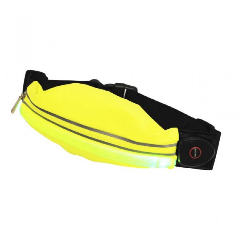 Sports fanny pack