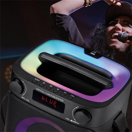300w speaker