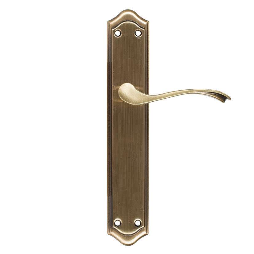 Lever handle with backplate.