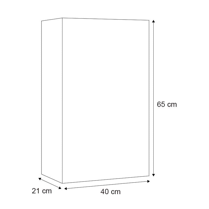 Mirror module
