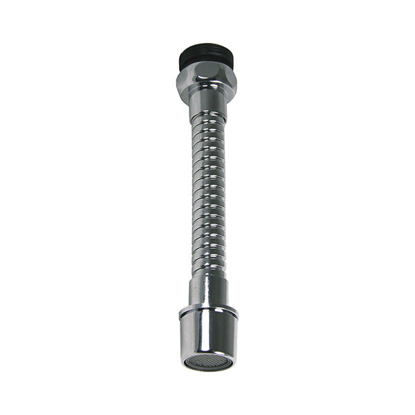 Sprayer with extension wand