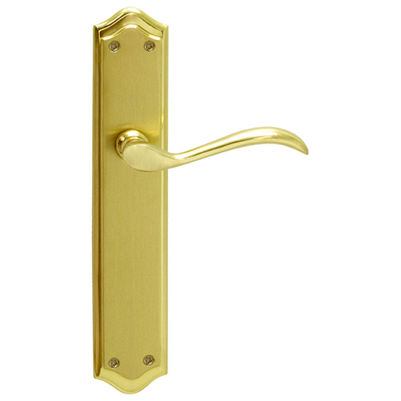 Handle with backplate