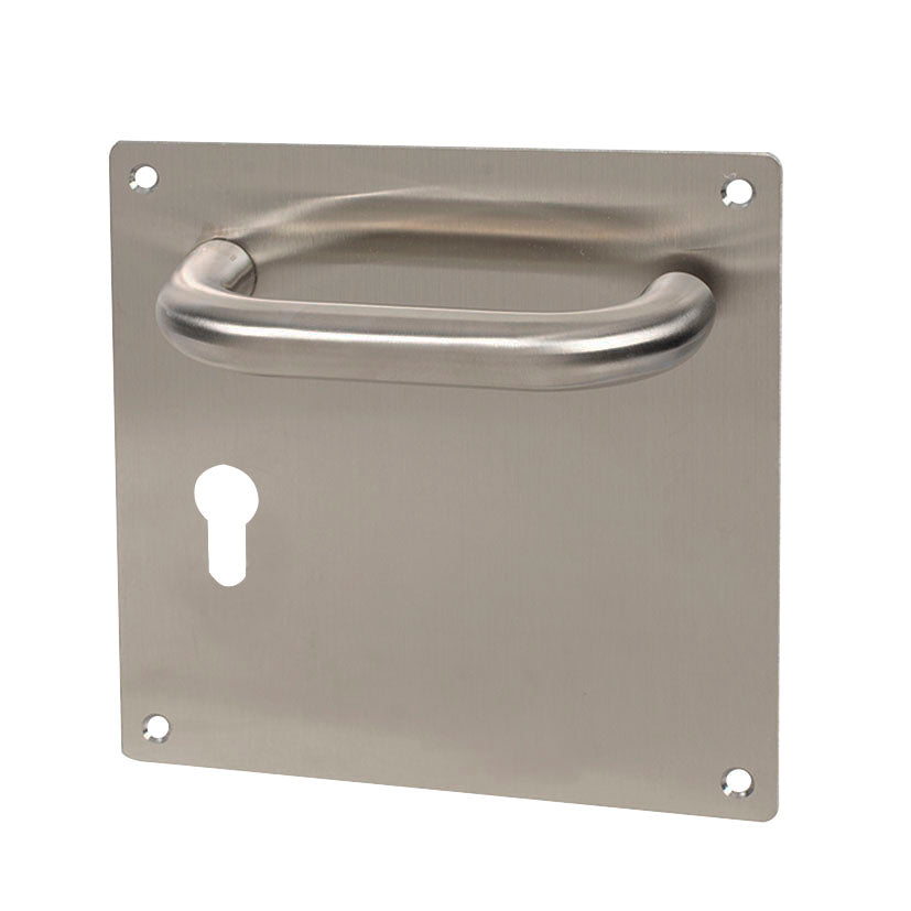 Door handle on plate.