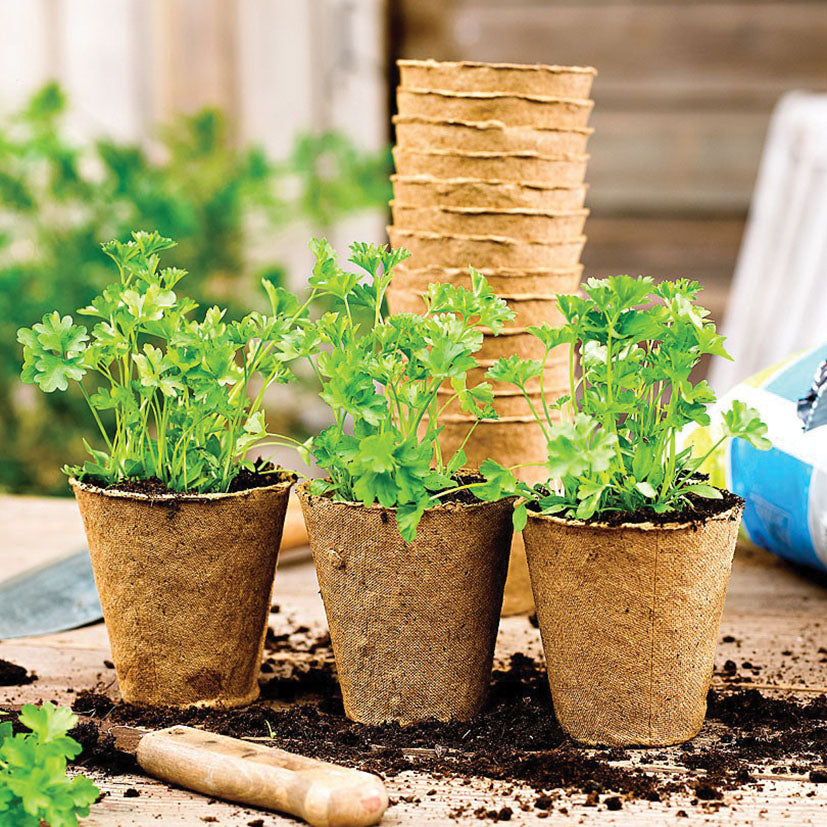 Peat pots