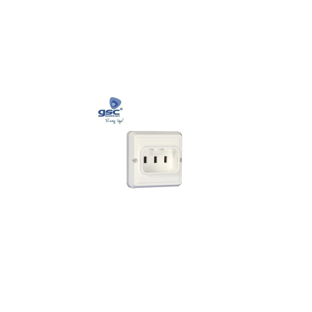 Two-prong plug