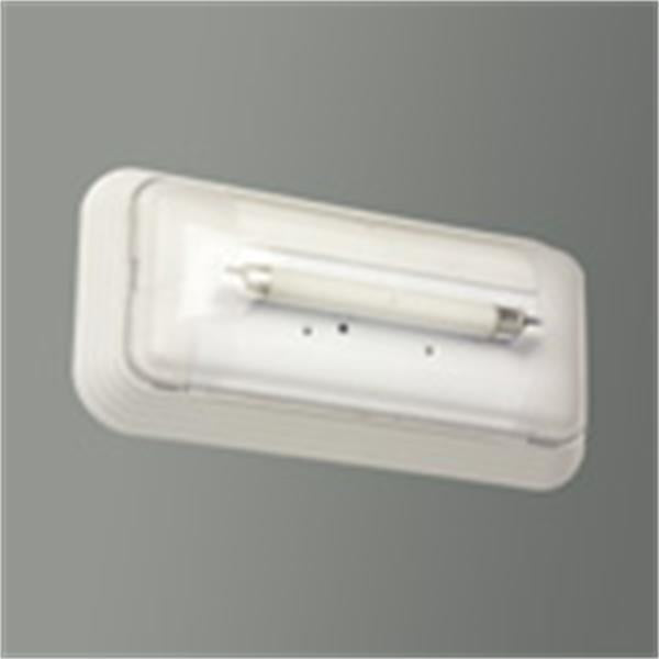 Emergency light