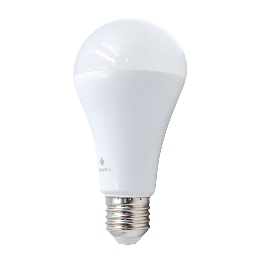 Light bulb wife