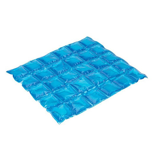 Ice bank