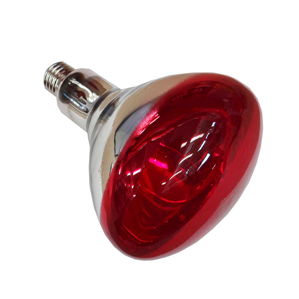 Light bulb