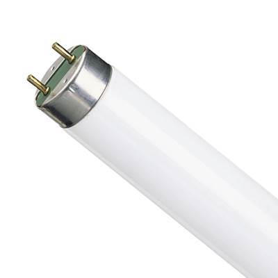 Fluorescent tube