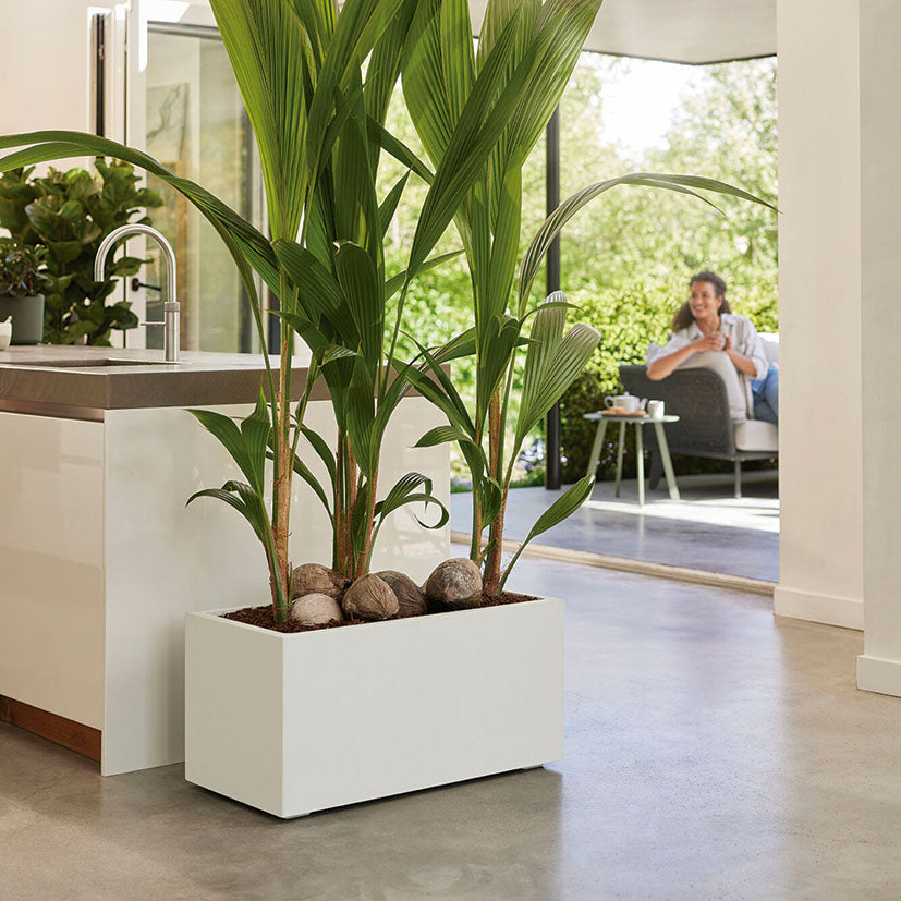 Rectangular planter box