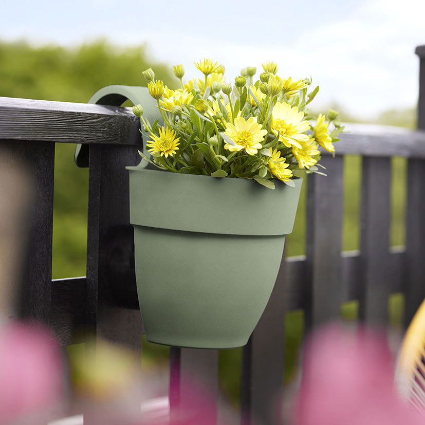 Hanging pot