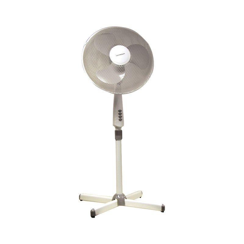 Fan of