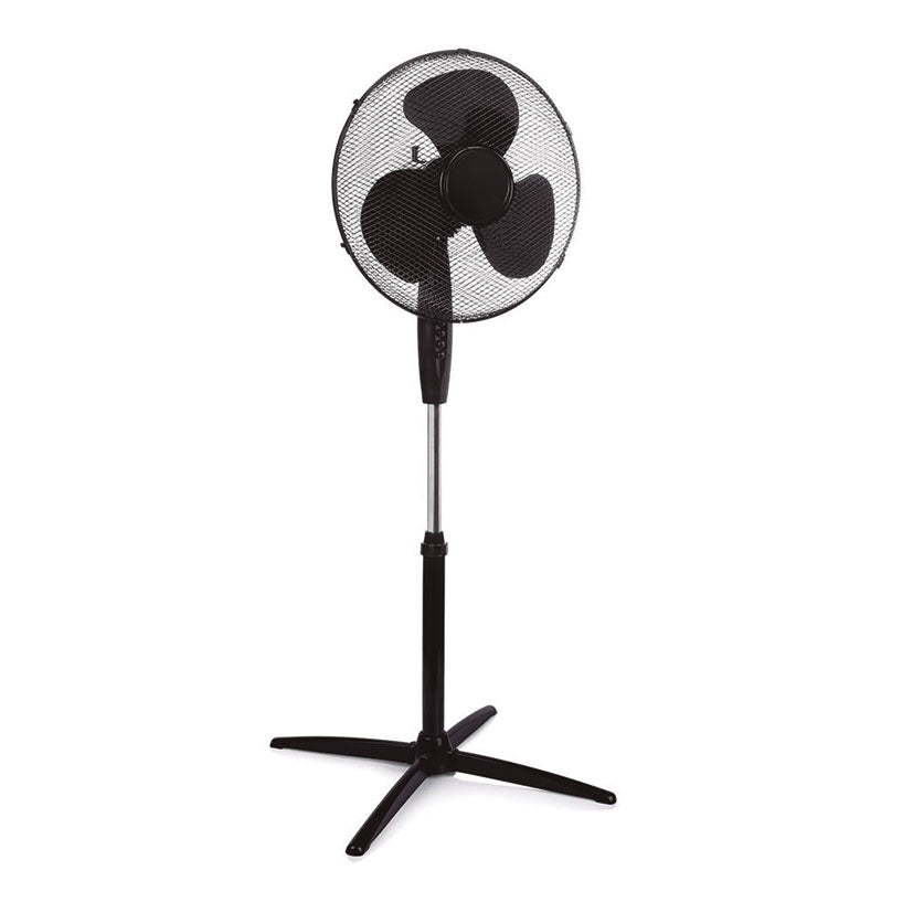 Fan of