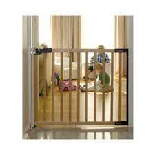 Safety Fence
