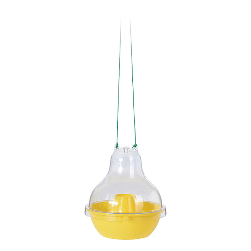 Wasp trap