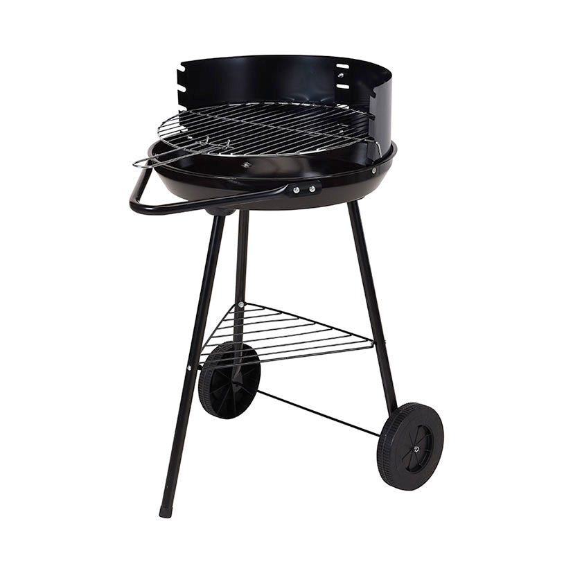 Barbacoa carbón