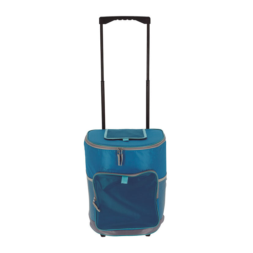 Flexible cooler
