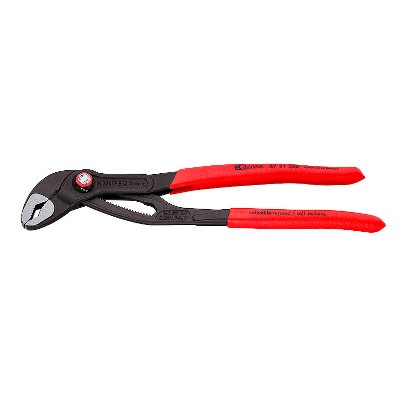 Pliers with beak