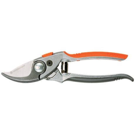 Pruning shears