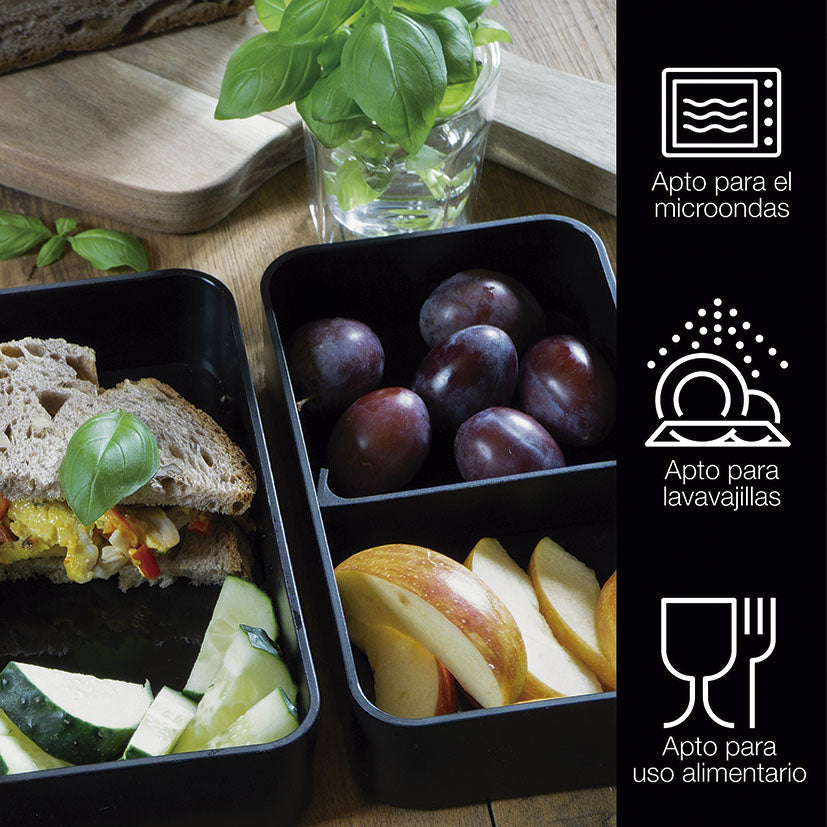Bento Lunch Box