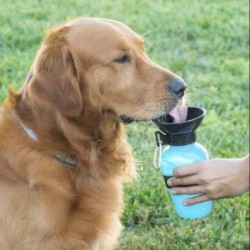 Water bottle