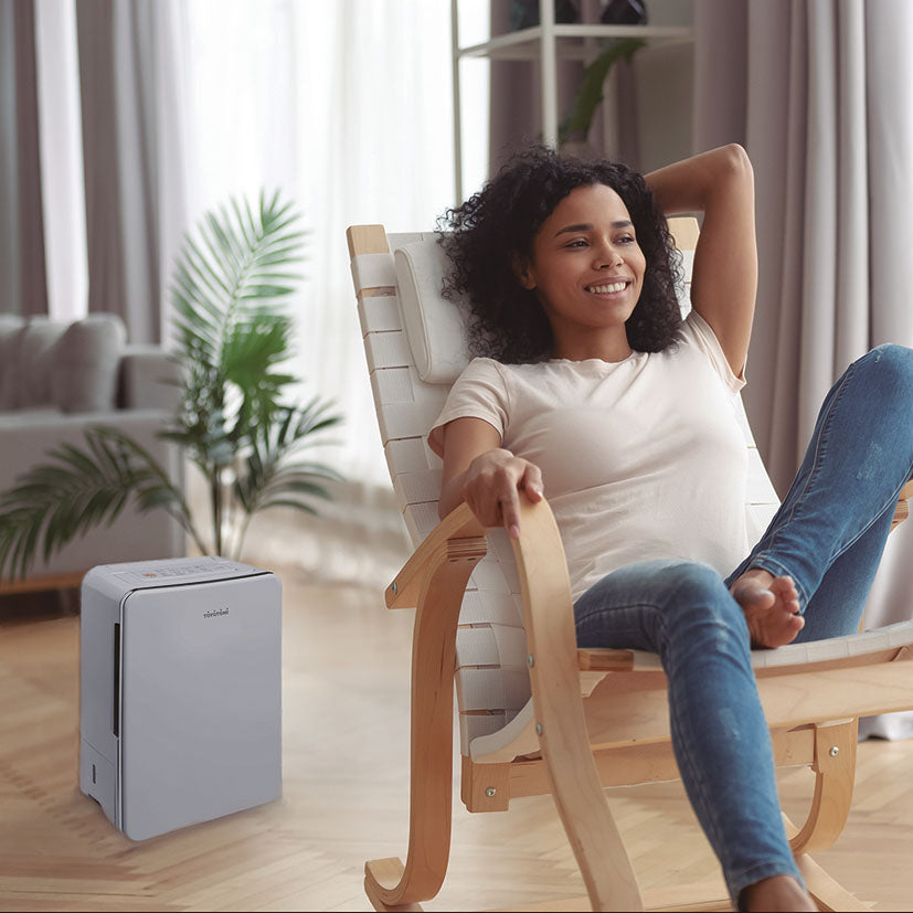 Dehumidifier