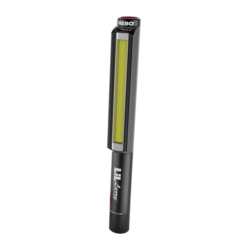 DISPLAY: BASE(1)+FLASHLIGHT