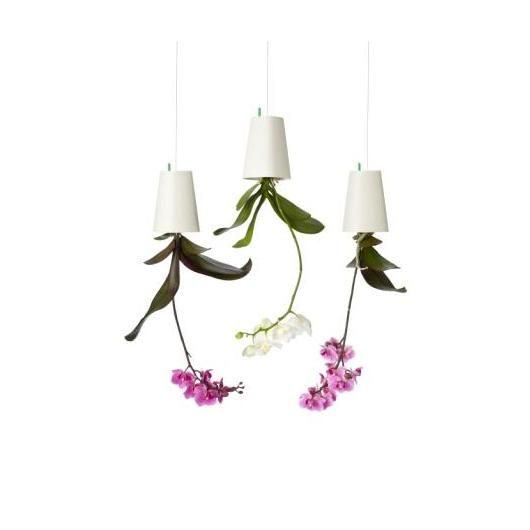 Hanging planter