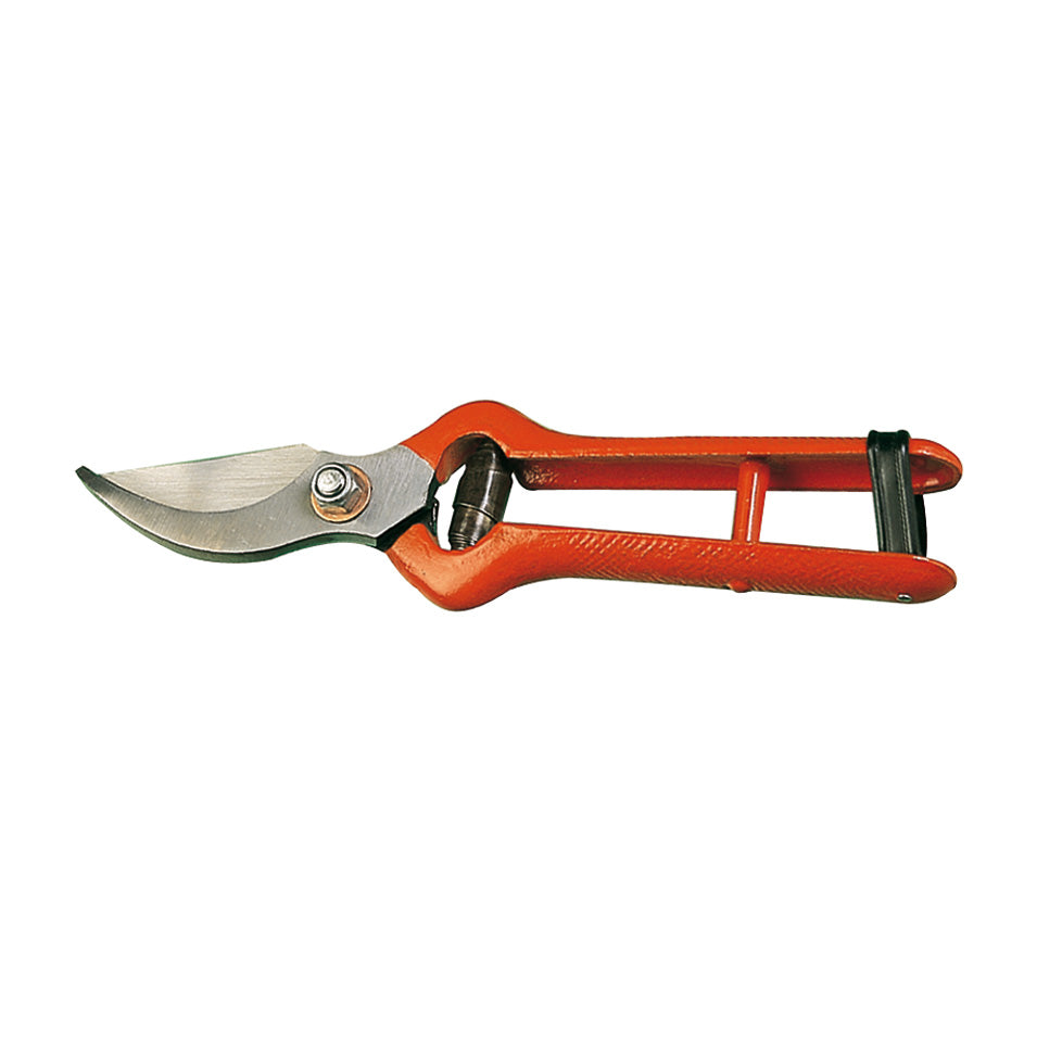 Pruning Shears