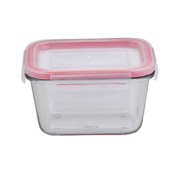 Glass lunchbox