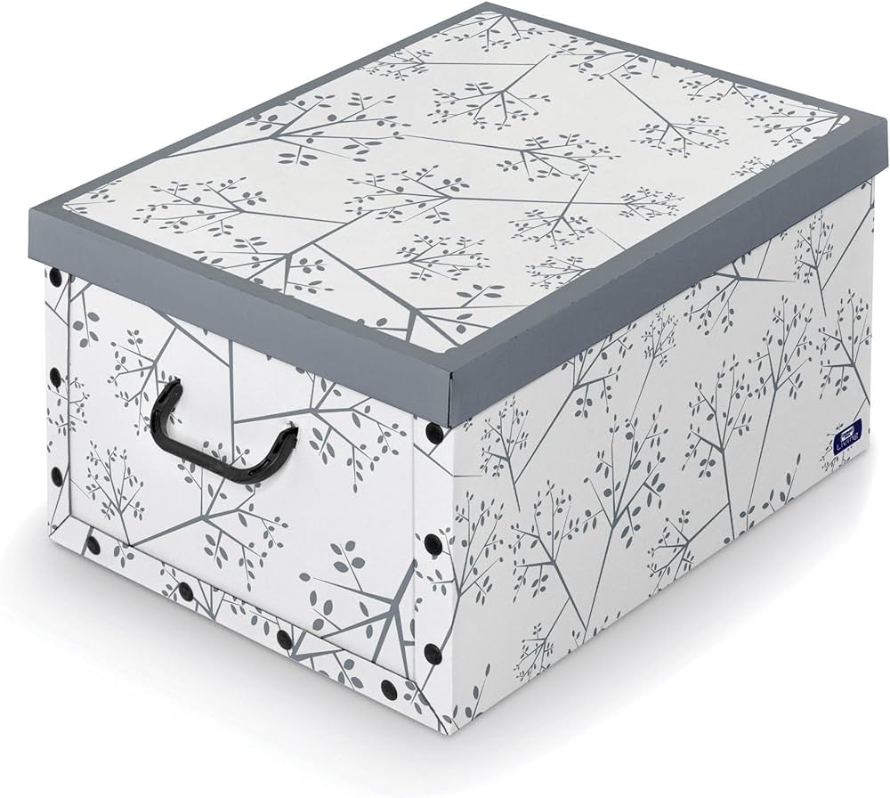 Cardboard box