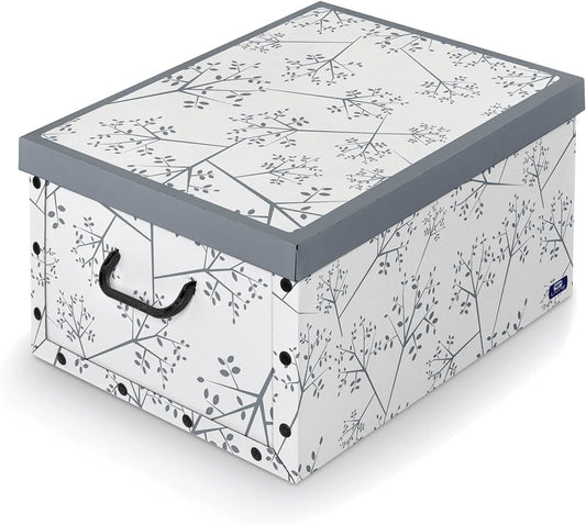 Cardboard box