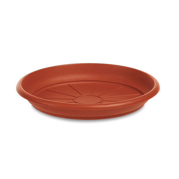 Dish for