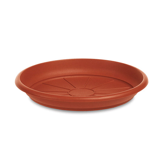 Dish for