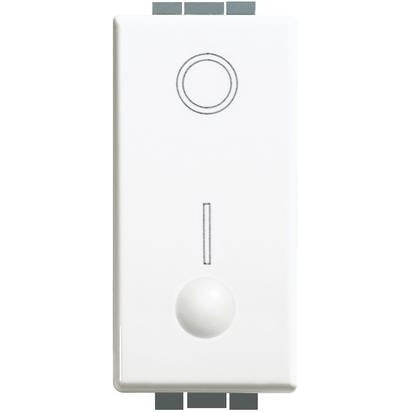 Double pole switch
