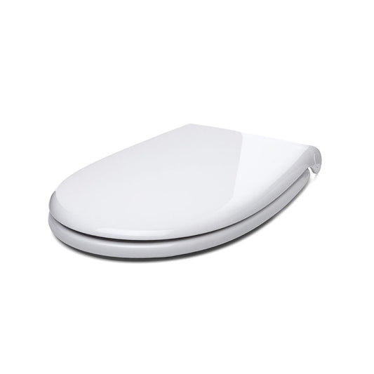Toilet seat