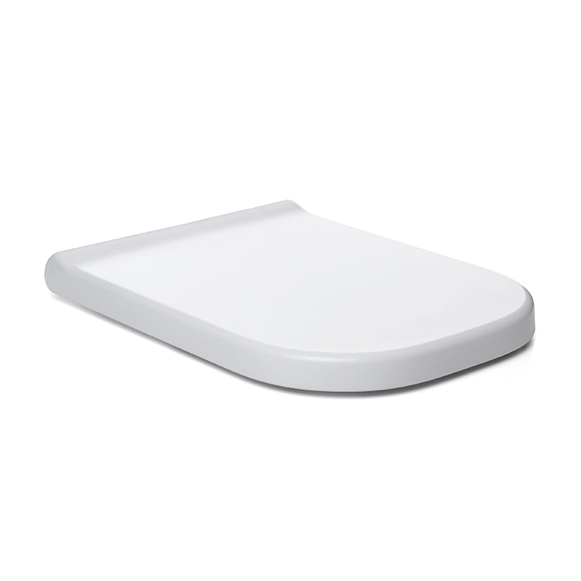 Toilet lid