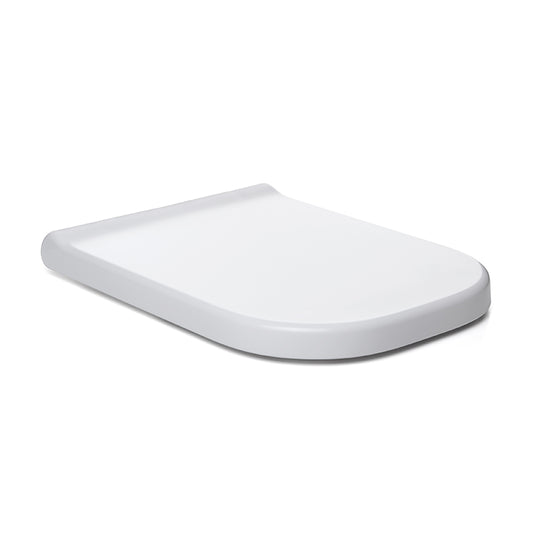 Toilet lid