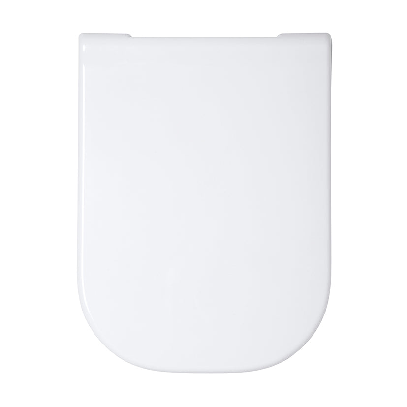 Toilet lid
